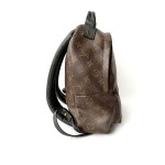 Louis Vuitton Palm Springs PM Backpack